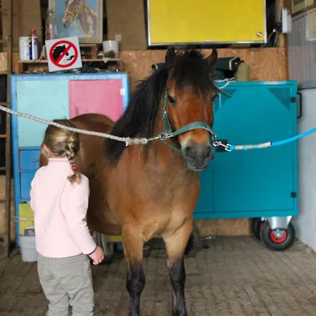 Miro * Saint-Germain-d'Aunay