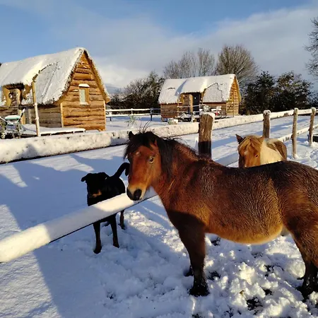 Miro * Saint-Germain-d'Aunay