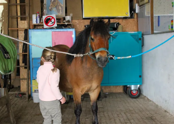 Miro * Saint-Germain-d'Aunay