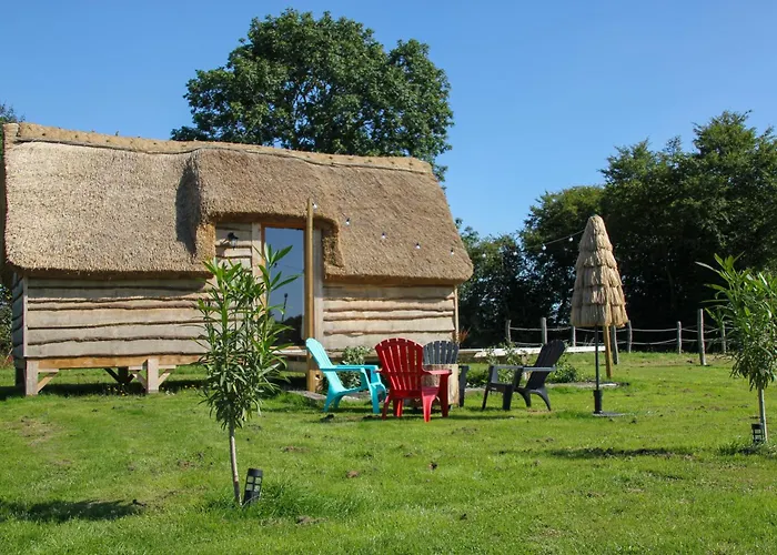 مكان تخييم Miro *