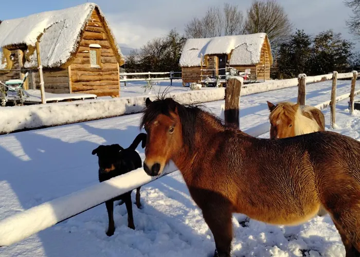 Miro * Saint-Germain-d'Aunay